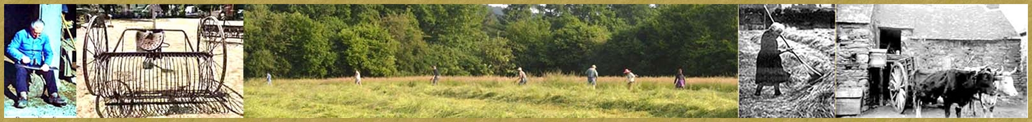 image panoramique