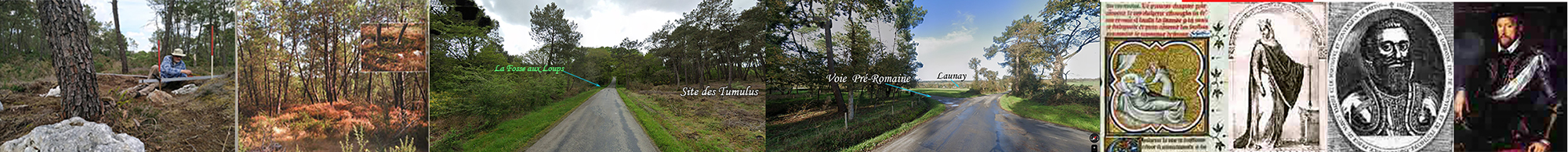 Photo panoramique - 