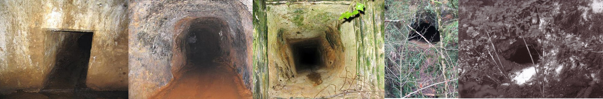 Sanctuaire pour les Chauves -souris