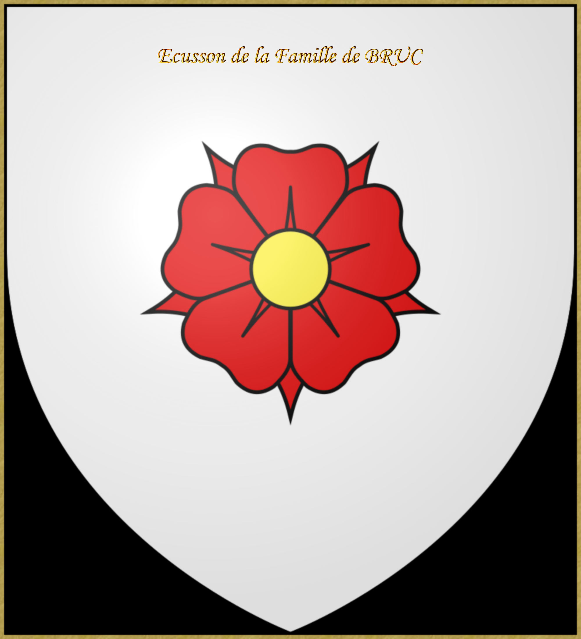 Ecusson de la famille de BRUC -